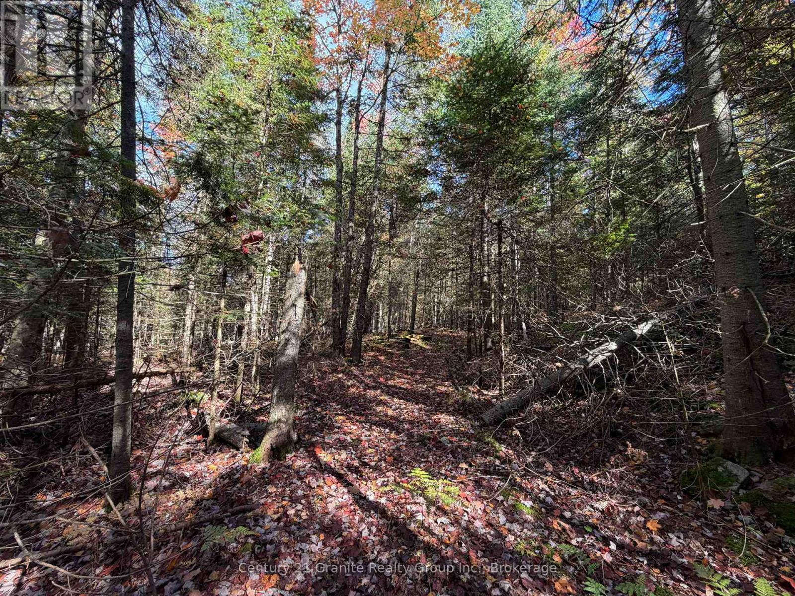 00 Kushog Lake Road — photo 27