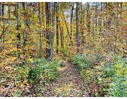 9626 Murphy Road, Clarington, ON L1C6V5 Photo 48
