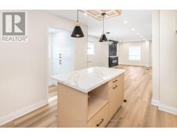 250 Rosslyn Avenue N, Hamilton, ON L8L7R1 Photo 15