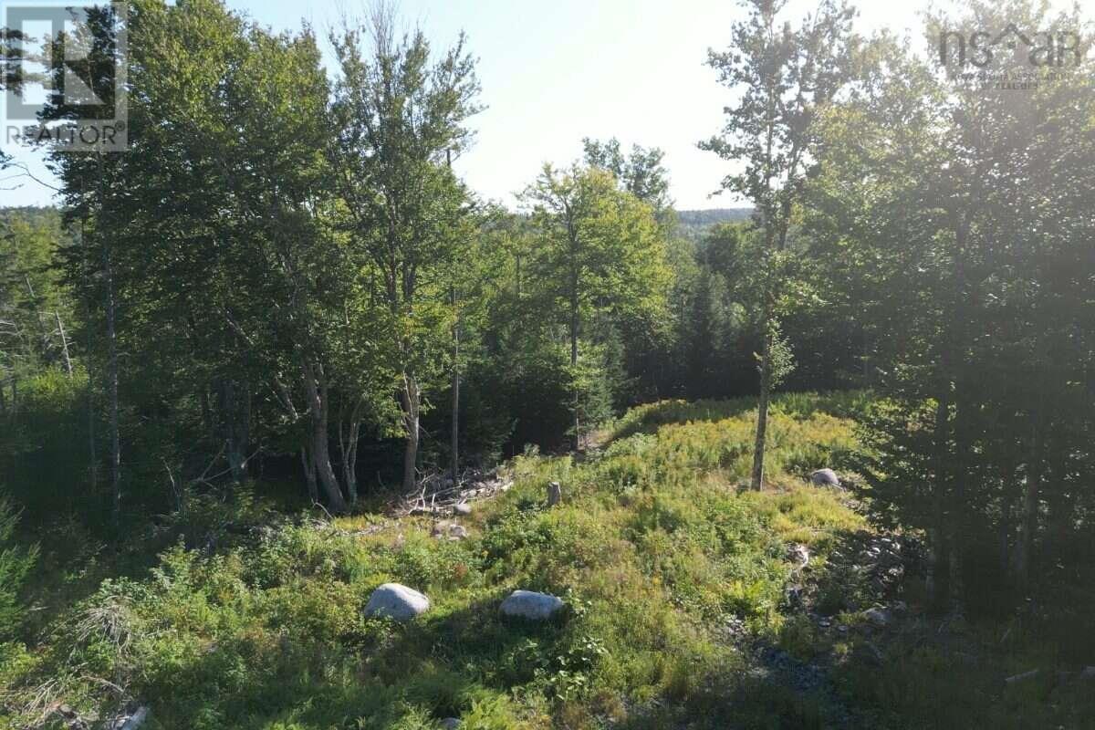 Property 6 of 9 of 28 Juniper Ridge