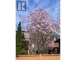 102 Gough Avenue, Toronto, ON M4K3N8 Photo 37