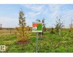69 Cuddie Dr, Sherwood Park, AB T8H3C8 Photo 19