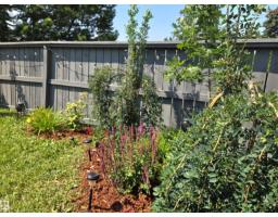 623 Willow Co Nw, Edmonton, AB T5T2K7 Photo 39