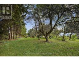 17846 Evelyn Drive, Thames Centre, ON N0M2M0 Photo 34