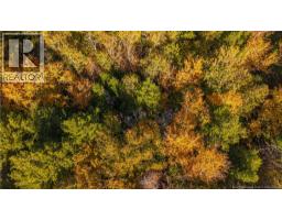 Hills Road, Oak Bay, NB E3L4K6 Photo 17