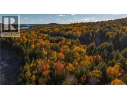 Hills Road, Oak Bay, NB E3L4K6 Photo 21