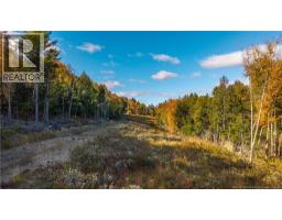 Hills Road, Oak Bay, NB E3L4K6 Photo 19