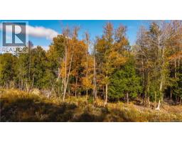 Hills Road, Oak Bay, NB E3L4K6 Photo 15