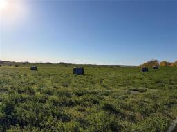 83066 Road 106 Road W, Minnedosa, MB R0J1E0 Photo 7