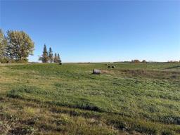 83066 Road 106 Road W, Minnedosa, MB R0J1E0 Photo 6
