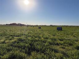 83066 Road 106 Road W, Minnedosa, MB R0J1E0 Photo 8