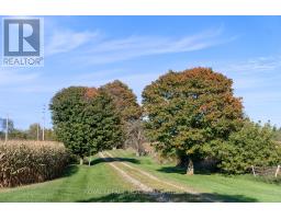 Bedroom - 5600 Fourth Line, Guelph/eramosa, ON N0B2K0 Photo 6