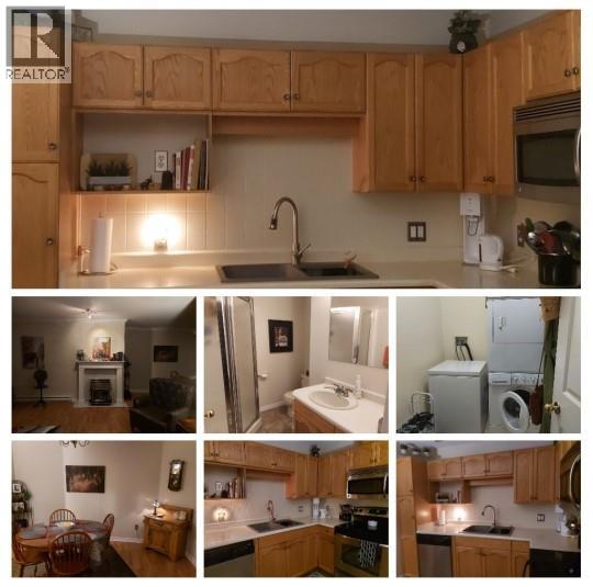 #311 1445 HALIFAX Street - 12