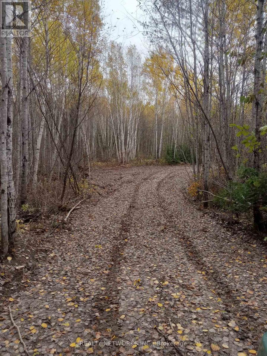 LOT 23 CONCESSION 11 ROAD - Image 33