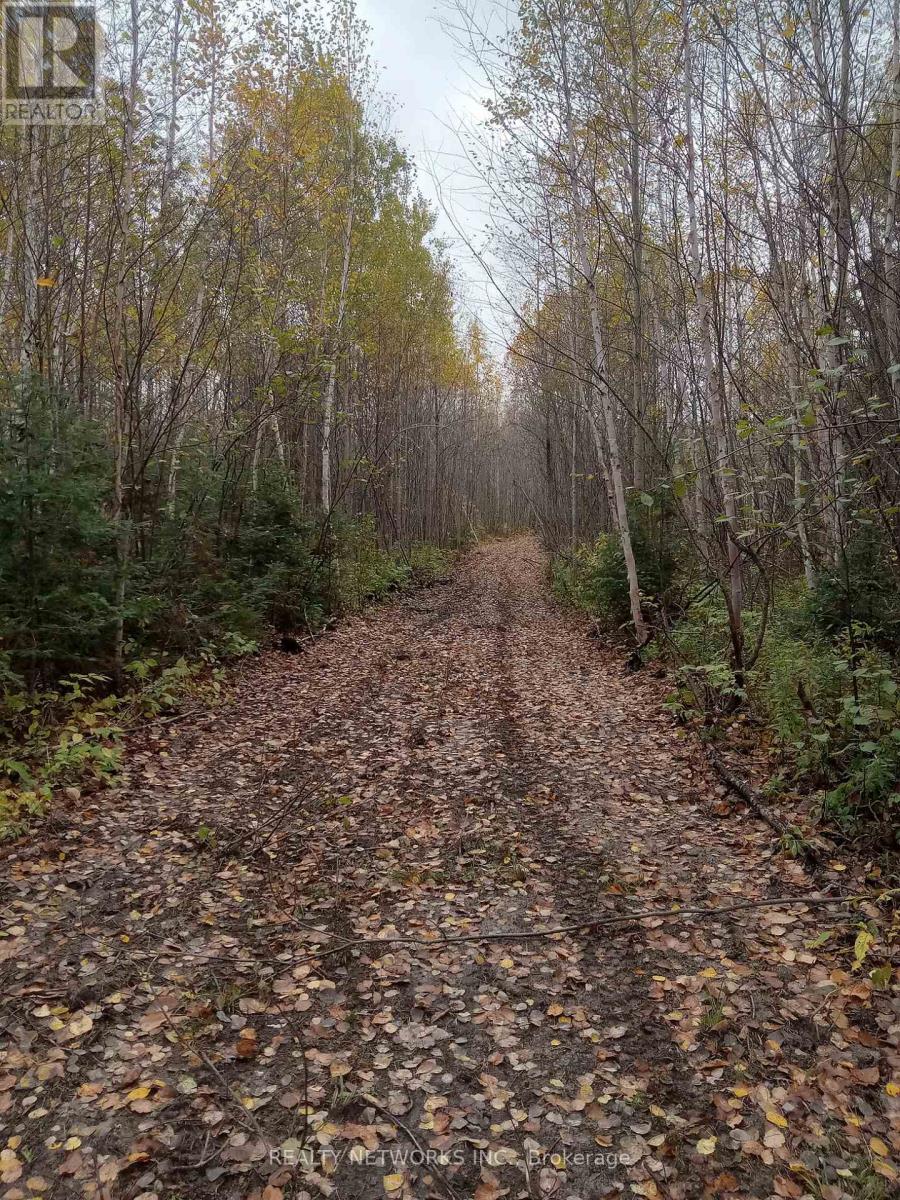 LOT 23 CONCESSION 11 ROAD - 32