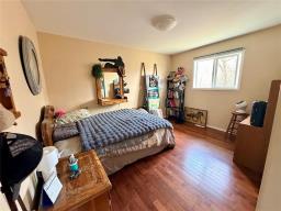 33021 36n Road, Graysville, MB R0G0T0 Photo 19
