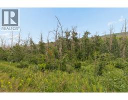 84, 1453 Na'a Drive SW - photo 35