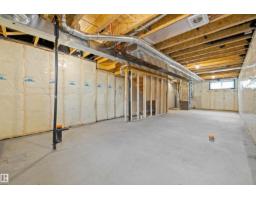 1613 210a St Nw, Edmonton, AB T6M3E1 Photo 39