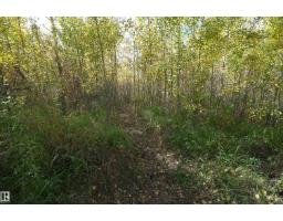 Sw-34-59-12-4, Rural Smoky Lake County, AB T0A3E0 Photo 26