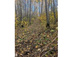Sw-34-59-12-4, Rural Smoky Lake County, AB T0A3E0 Photo 28