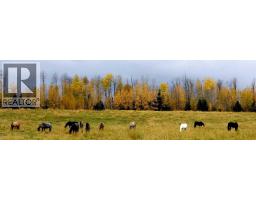 411048c Buster Creek Road, Rural Clearwater County, AB T4T1A5 Photo 33