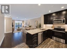 Laundry room - 110 - 830 Megson Terrace, Milton, ON L9T9M7 Photo 8