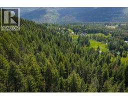 Parcel A Columbia-kootenay Road, Rossland, BC V0G1Y0 Photo 12
