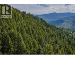 Parcel A Columbia-kootenay Road, Rossland, BC V0G1Y0 Photo 13