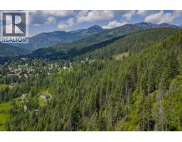 Parcel A Columbia-kootenay Road, Rossland, BC V0G1Y0 Photo 6