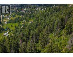 Parcel A Columbia-kootenay Road, Rossland, BC V0G1Y0 Photo 7
