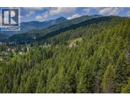 Parcel A Columbia-kootenay Road, Rossland, BC V0G1Y0 Photo 9