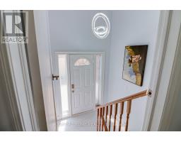 37 Mason Road, Toronto, ON M1M3P9 Photo 20