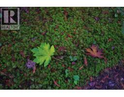 4713 Hotel Lake Crescent, Garden Bay, BC V0N1S1 Photo 27