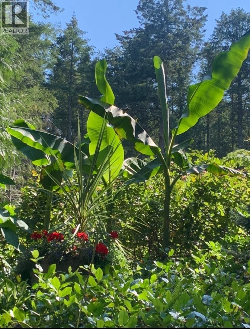 604 WAUGH ROAD, Mayne Island - Image 1
