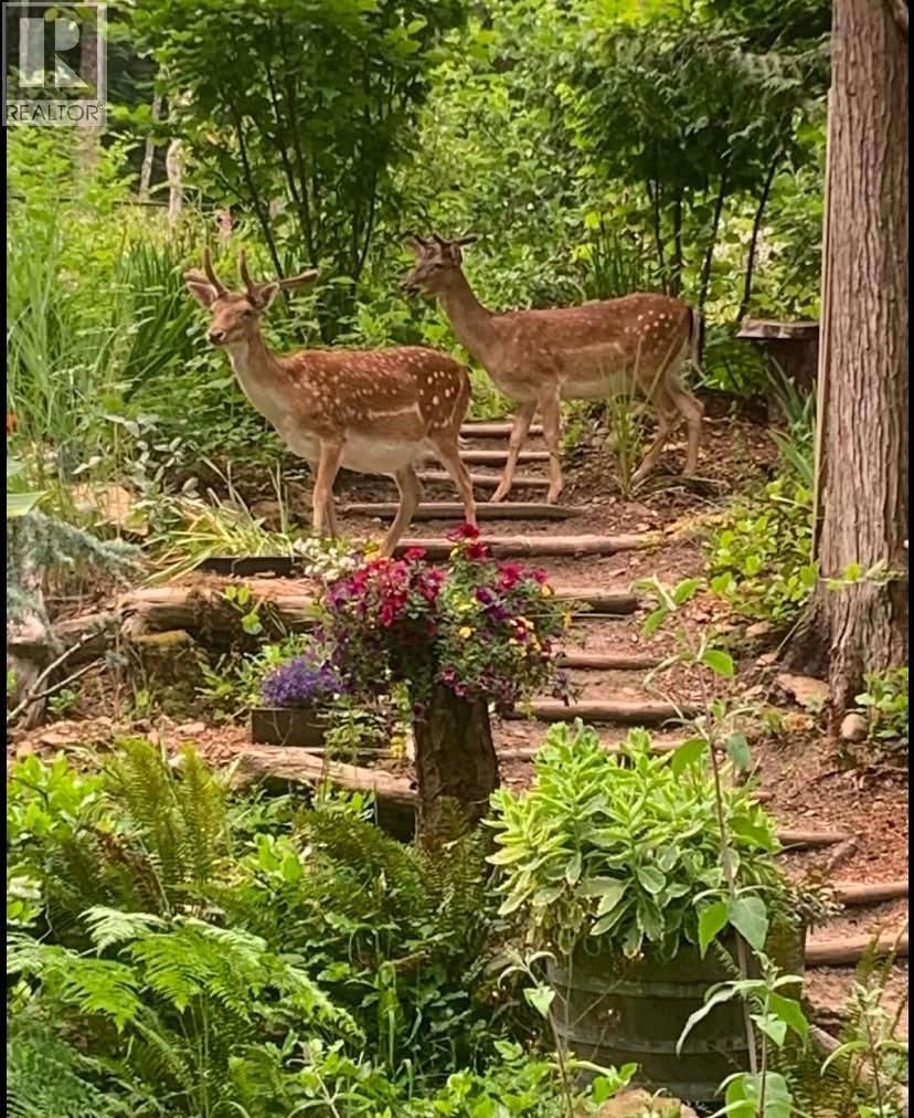 604 WAUGH ROAD, Mayne Island - Image 1
