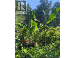 604 Waugh Road, Mayne Island, BC V0N2J1 Photo 23