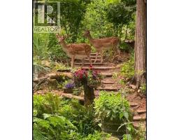 604 Waugh Road, Mayne Island, BC V0N2J1 Photo 28