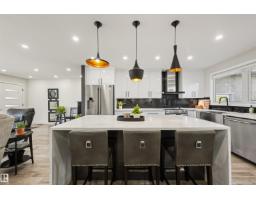 Utility room - 18512 90 Av Nw, Edmonton, AB T5T1N7 Photo 13