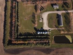 8085 Road 25 Road, Lowe Farm, MB R0G1T0 Photo 28