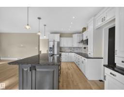 Second Kitchen - 50344 Rge Rd 243, Rural Leduc County, AB T4X0N5 Photo 11
