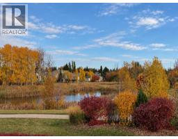 31 Erhart Close, Olds, AB T4H0E1 Photo 48
