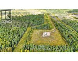 49419 B Range Road 85, Rural Brazeau County, AB T7A0C1 Photo 8