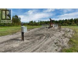 49419 B Range Road 85, Rural Brazeau County, AB T7A0C1 Photo 6