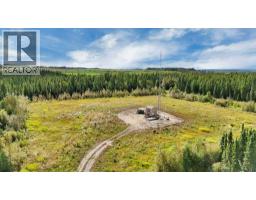 49419 B Range Road 85, Rural Brazeau County, AB T7A0C1 Photo 19