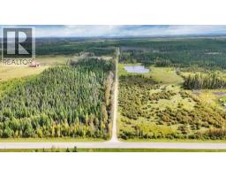 49419 B Range Road 85, Rural Brazeau County, AB T7A0C1 Photo 23