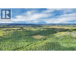 49419 B Range Road 85, Rural Brazeau County, AB T7A0C1 Photo 7