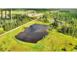 49419 B Range Road 85, Rural Brazeau County, AB T7A0C1 Photo 30
