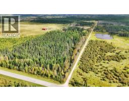 49419 B Range Road 85, Rural Brazeau County, AB T7A0C1 Photo 26