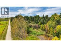 49419 B Range Road 85, Rural Brazeau County, AB T7A0C1 Photo 27