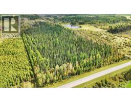 49419 B Range Road 85, Rural Brazeau County, AB T7A0C1 Photo 25
